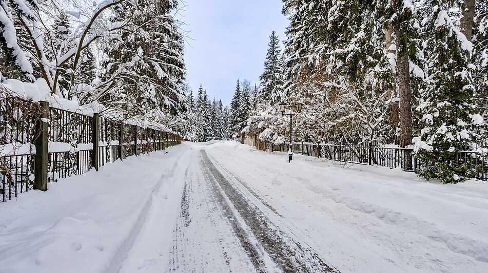 Дом на лесном участке в КП Шервуд