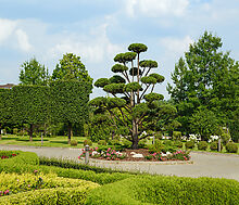 Дом под отделку в Ренессанс парк