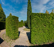 Новый дом в КП Миллениум Парк