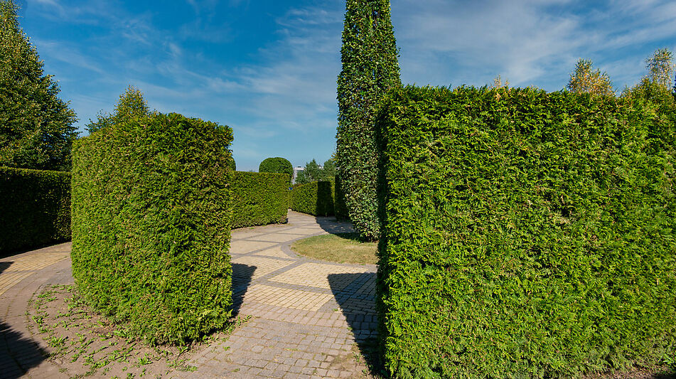 Новый дом в КП Миллениум Парк