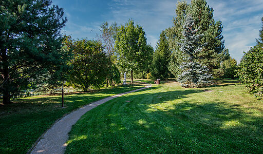 Новый дом в КП Миллениум Парк