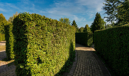 Новый дом в КП Миллениум Парк