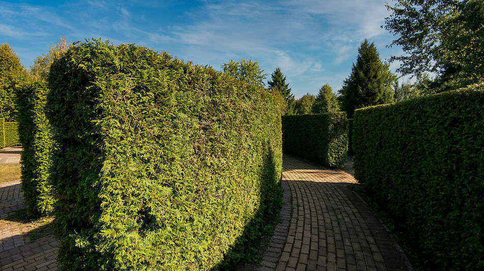 Новый дом в КП Миллениум Парк