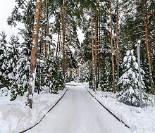 Алексеево Парк