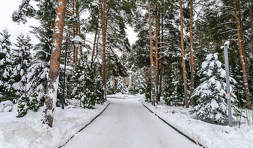 Алексеево Парк