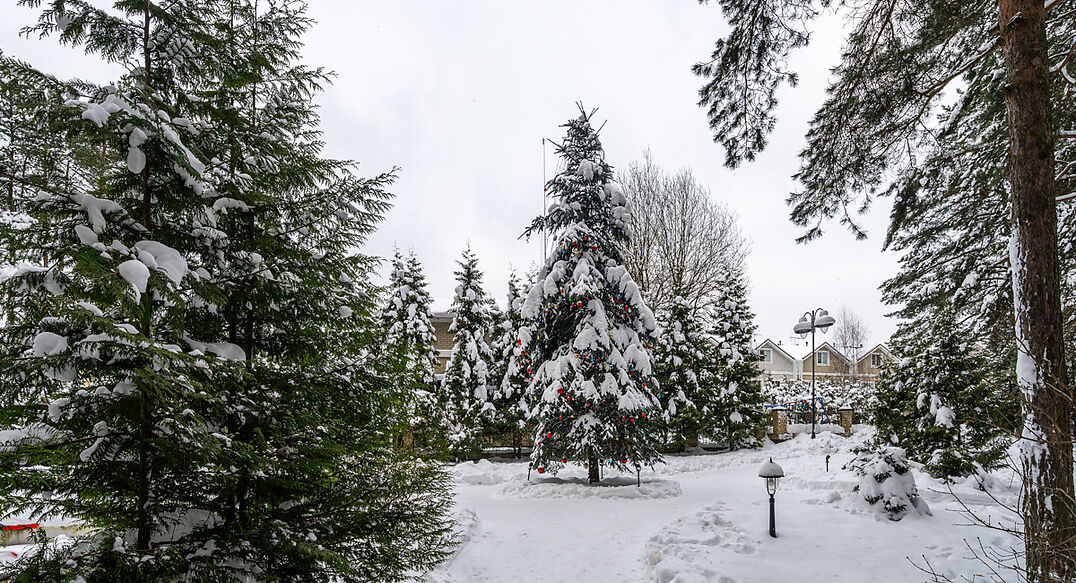 Алексеево Парк