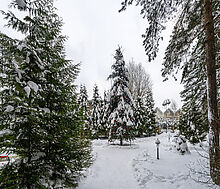 Алексеево Парк