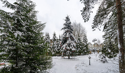 Алексеево Парк