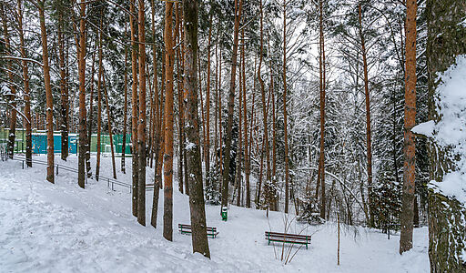 Алексеево Парк
