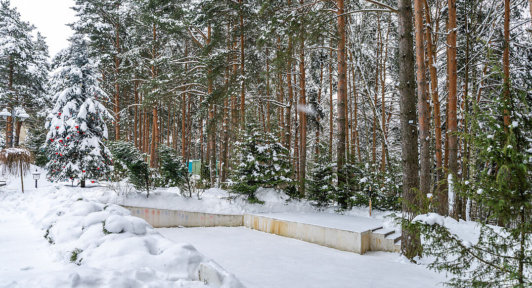 Алексеево Парк