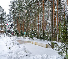 Алексеево Парк