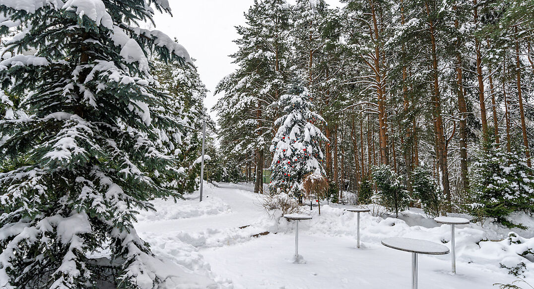 Алексеево Парк