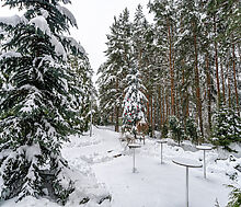 Алексеево Парк