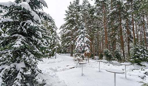 Алексеево Парк