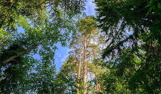 Дом в КП Покровское-Рубцово