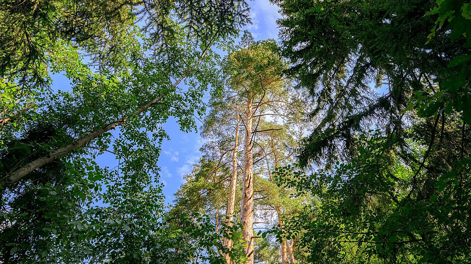 Дом в КП Покровское-Рубцово
