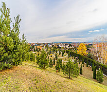 Готовый дом в КП Николина Поляна