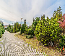 Готовый дом в КП Николина Поляна