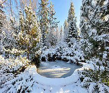 Особняк в КП Благодать