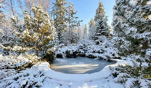 Особняк в КП Благодать