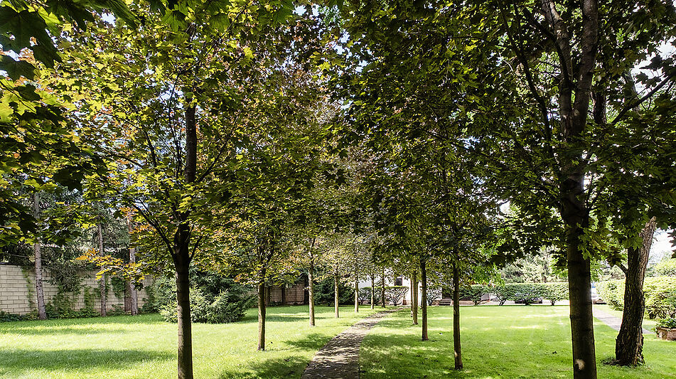 Дом у леса в КП Десять Ярдов