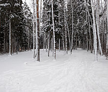 Классический дом в КП Николино