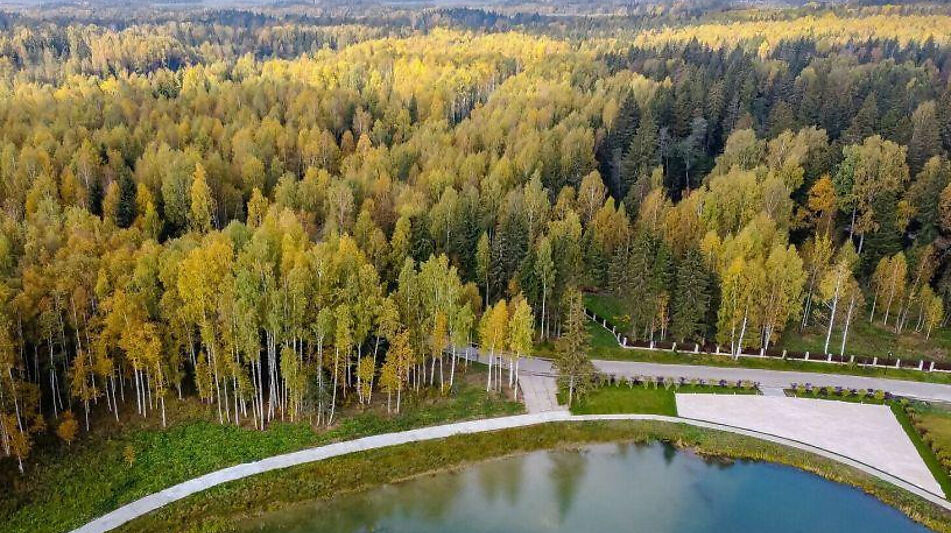 Лесной участок в Эмеральд Вилладж