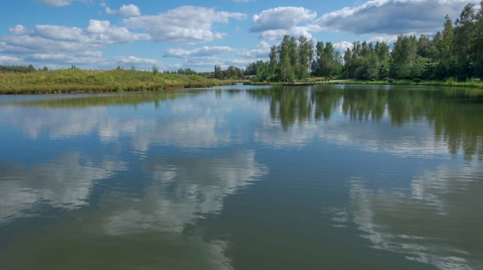 Лесной участок в Эмеральд Вилладж