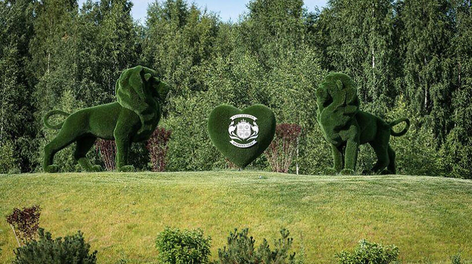 Лесной участок в Эмеральд Вилладж