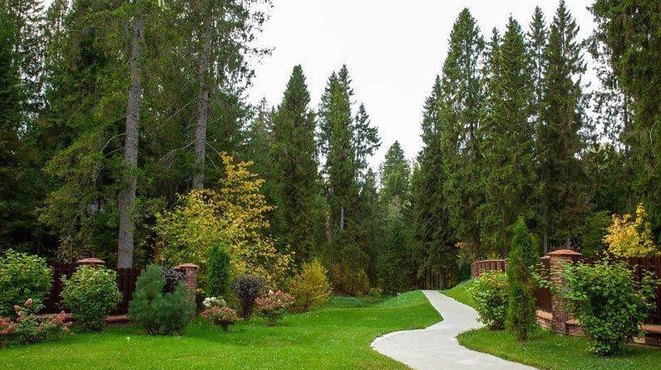 Лесной участок в Эмеральд Вилладж