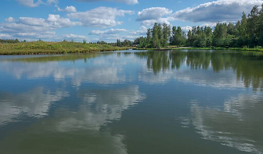 Лесной участок в Эмеральд Вилладж