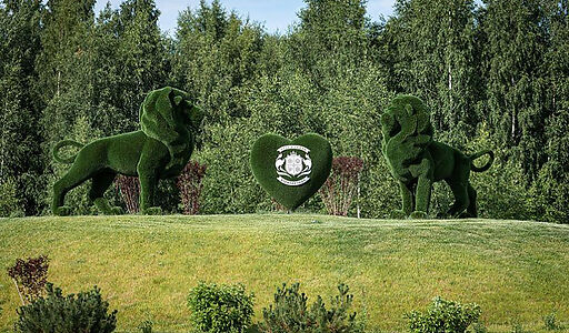 Лесной участок в Эмеральд Вилладж