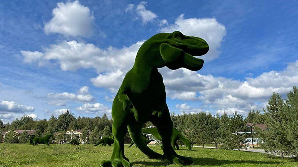 Лесной участок в Эмеральд Вилладж