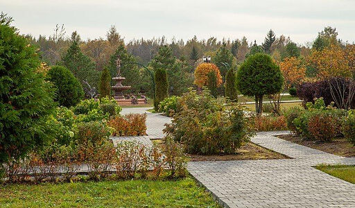 Лесной участок в Эмеральд Вилладж