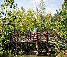 Лесной участок в Эмеральд Вилладж