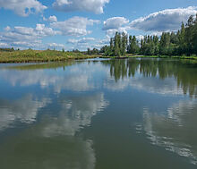 Лесной участок в Эмеральд Вилладж