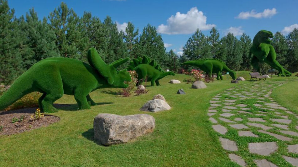 Лесной участок в Эмеральд Вилладж