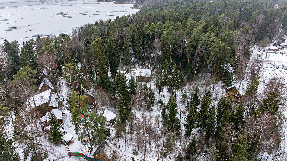 Участок с лесом и причалом у воды