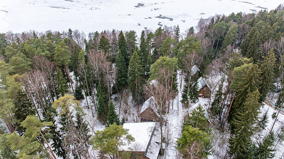 Участок с лесом и причалом у воды