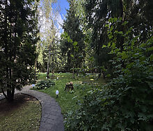 Участок в КП Ландшафт