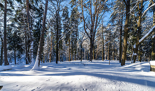 Дом в Усадьбе Подушкинского парка