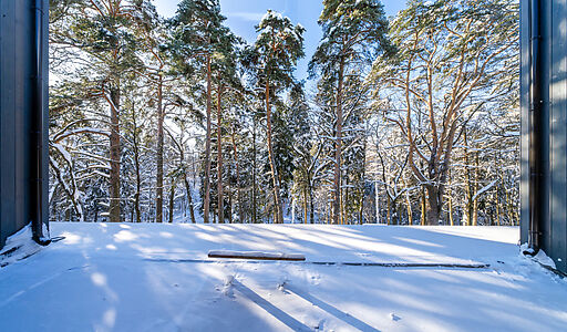 Дом в Усадьбе Подушкинского парка