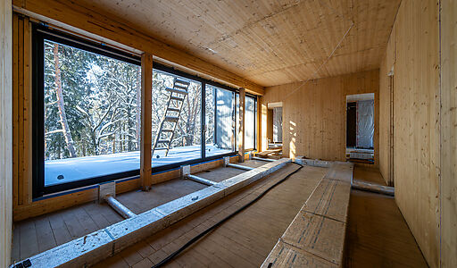 Дом в Усадьбе Подушкинского парка