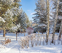 Дом в КП Зеленая роща-1