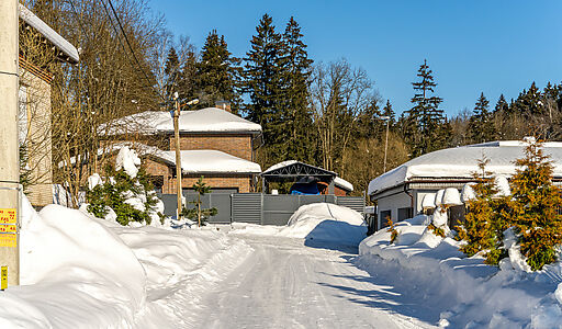 Уютный дом в Лесной сказке