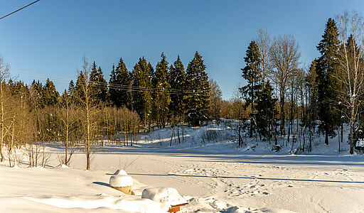 Уютный дом в Лесной сказке