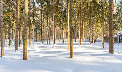 ЭКО ДОМ пос. Никульское