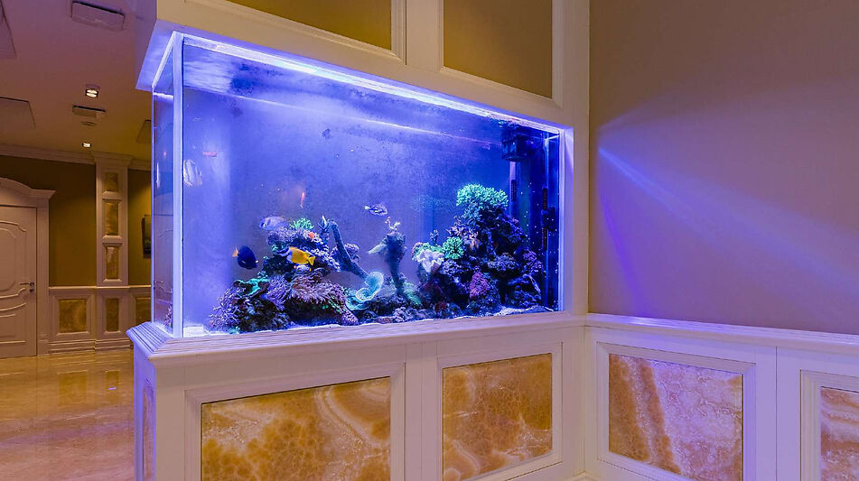 Резиденция в КП Таганьково-5