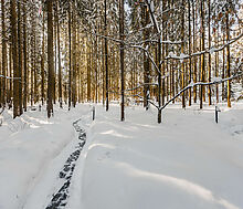 Резиденция в КП Таганьково-5