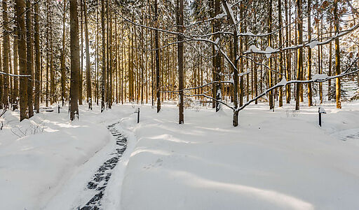 Резиденция в КП Таганьково-5